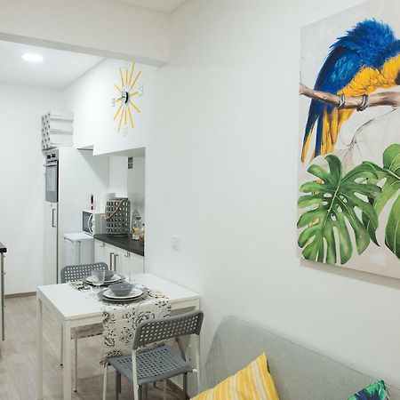 塞辛布拉Tropical House公寓 外观 照片